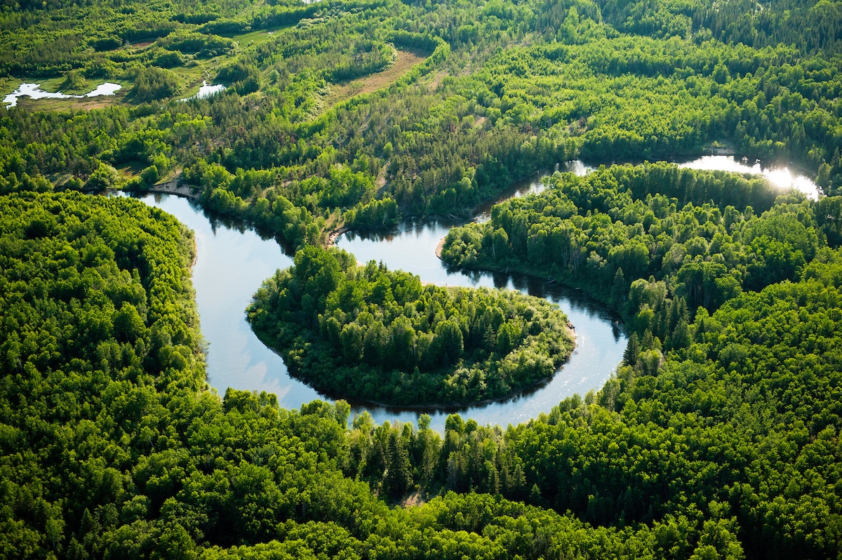 Featured image for “Expanding oil sands mine threatens ancient peatland and millions of birds”
