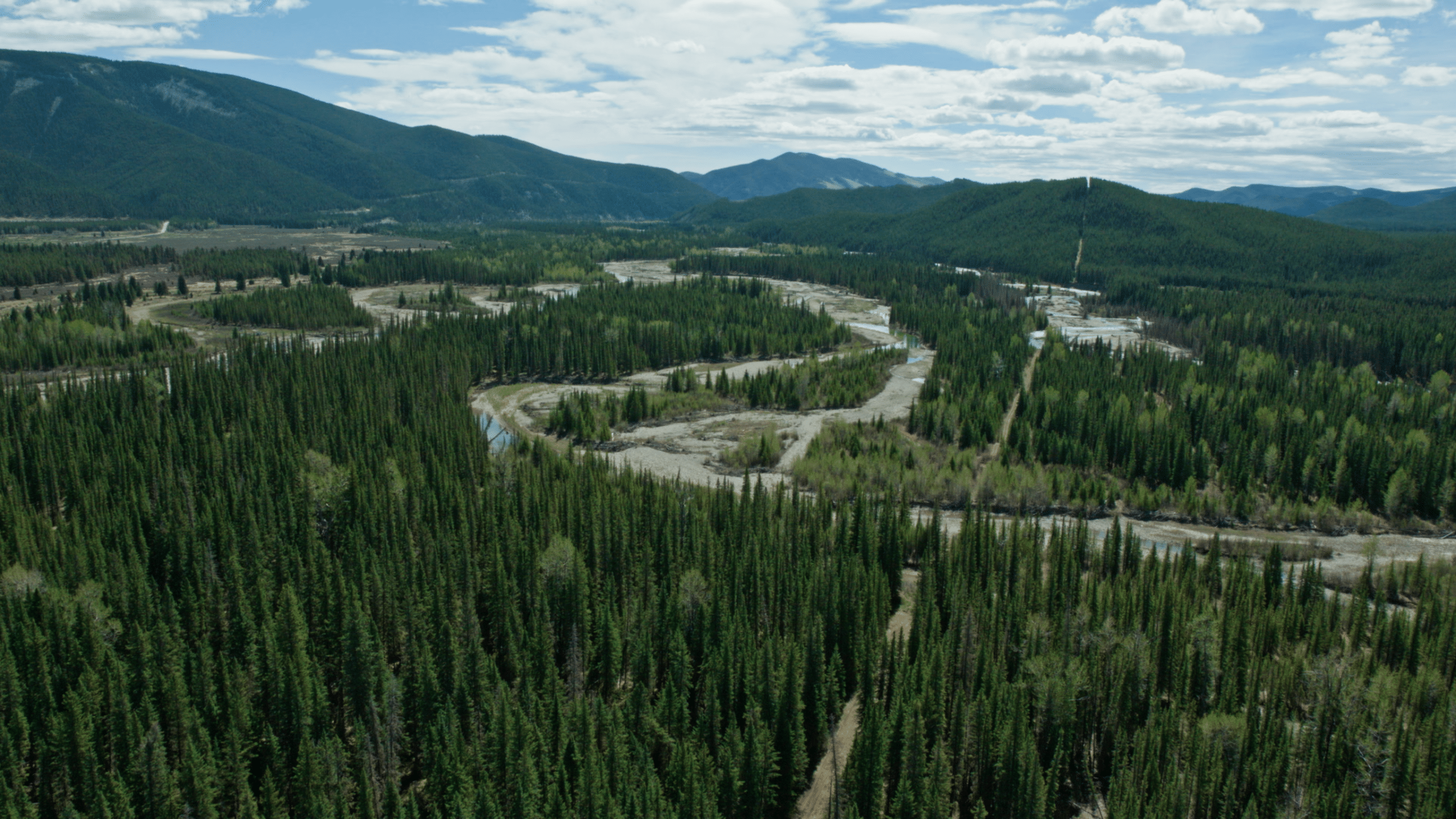 Featured image for “An updated and abbreviated timeline on Coal in Alberta”