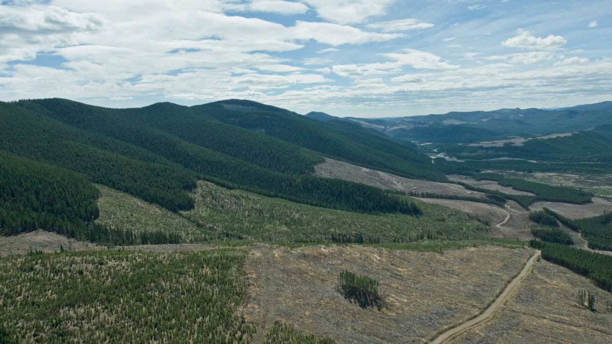Coal Mining Impacts our Communities & Headwaters