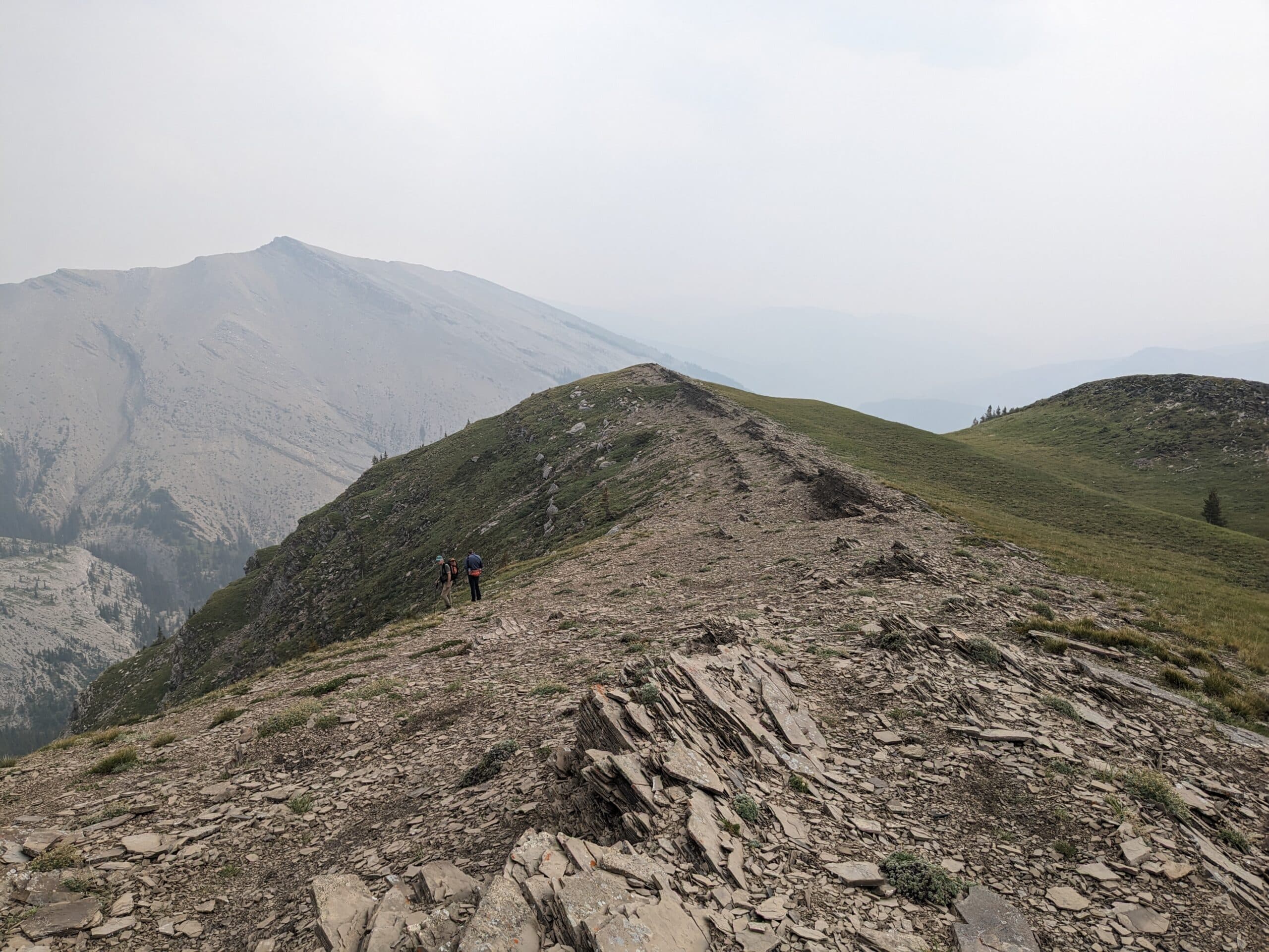 Featured image for “A BioBlitz in the Cardinal Divide”