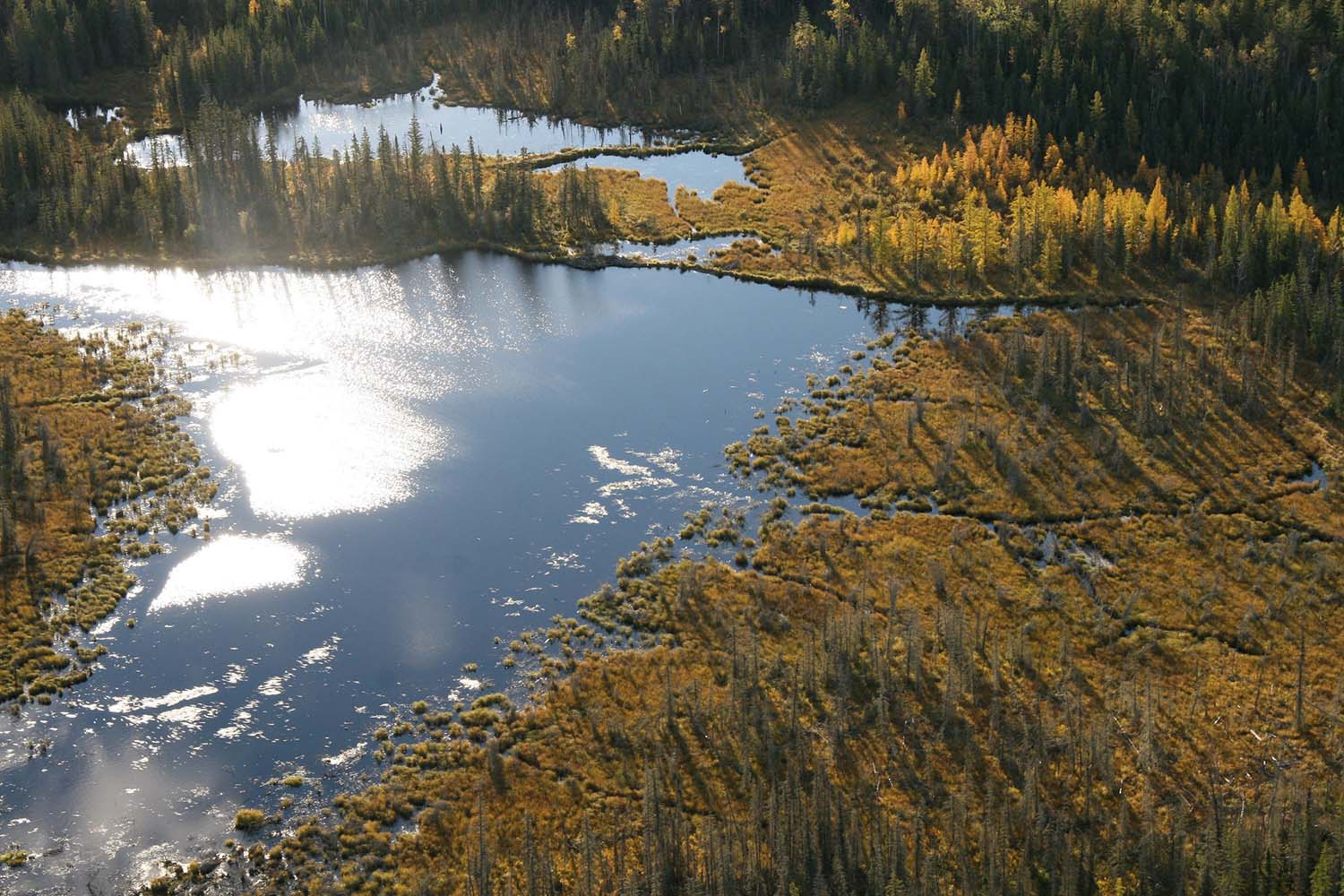 Coal Mining Impacts our Communities & Headwaters